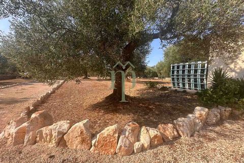 Villa i Carovigno, Brindisi, Carovigno - € 340.000 | Ref: Villa Casellini - foto 14